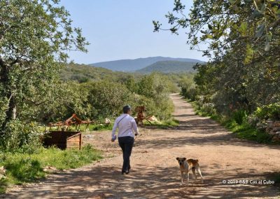 walker meets farm guard dog on Cerro do Leiria walk