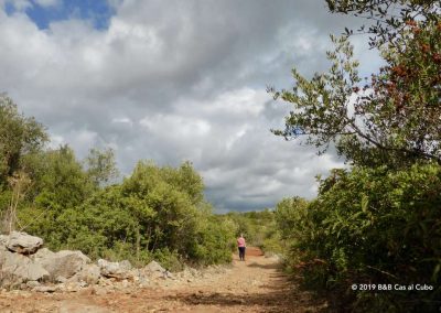 Walk Cerro do Leiria Eastern Algarve