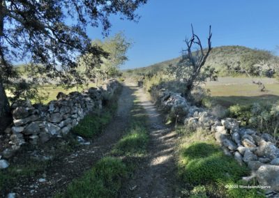 Path between stone walls