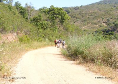 Path in Serra do Caldeirão