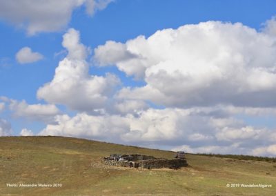 Field with old sheepfold in Tavira municipality
