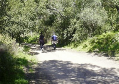 Hikers on Curral da Pedra walk